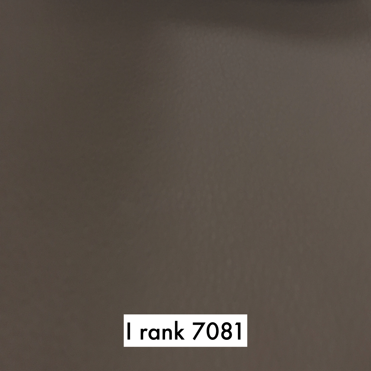 sample maruichi I rank 7081