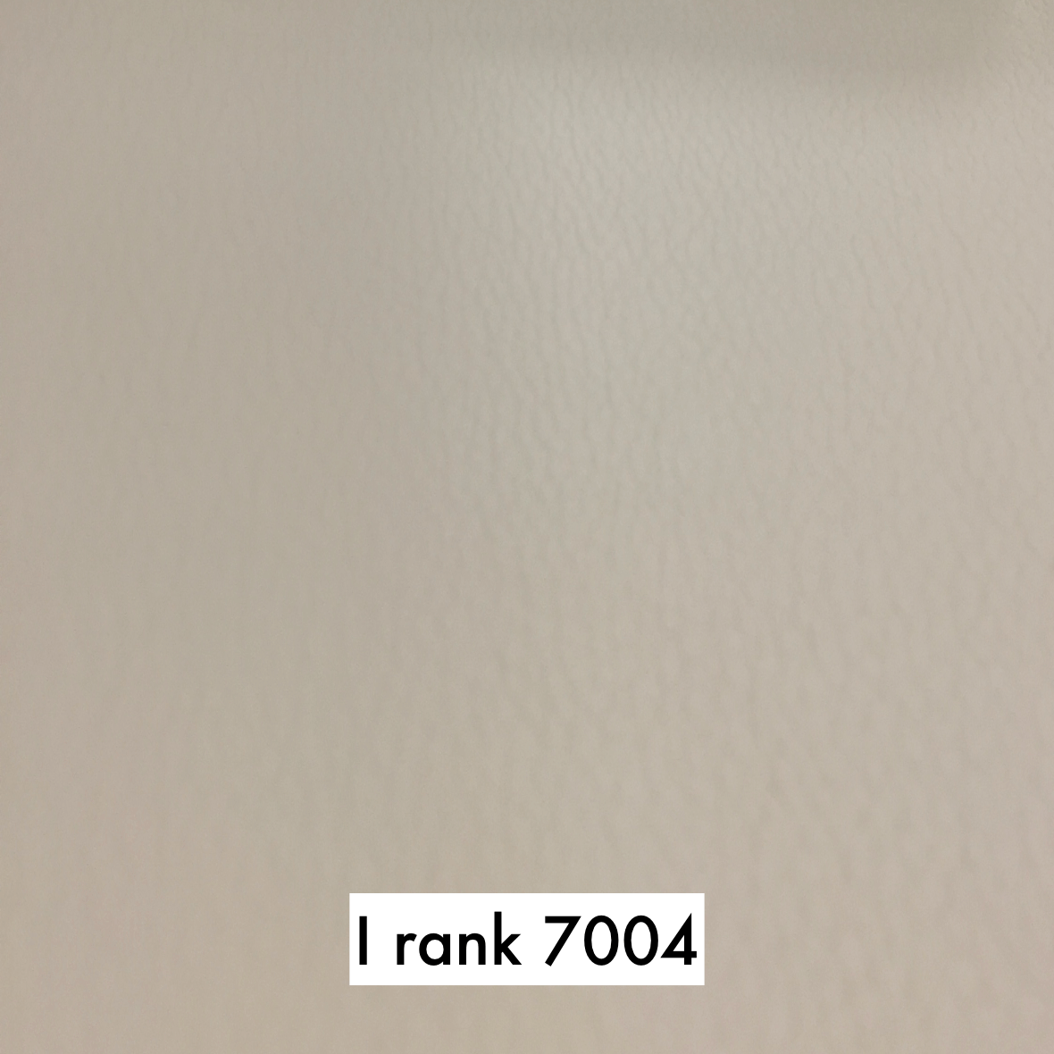 sample maruichi I rank 7004
