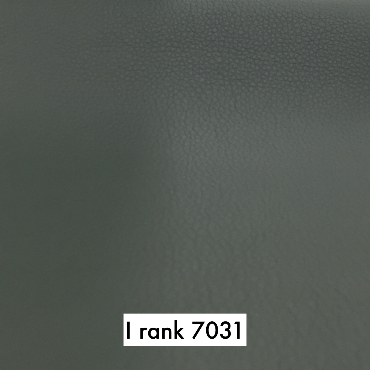 sample maruichi I rank 7031