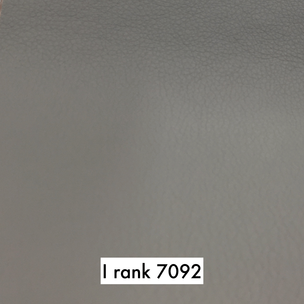sample maruichi I rank 7092