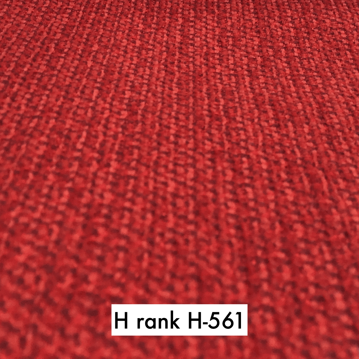 sample maruichi H rank 561