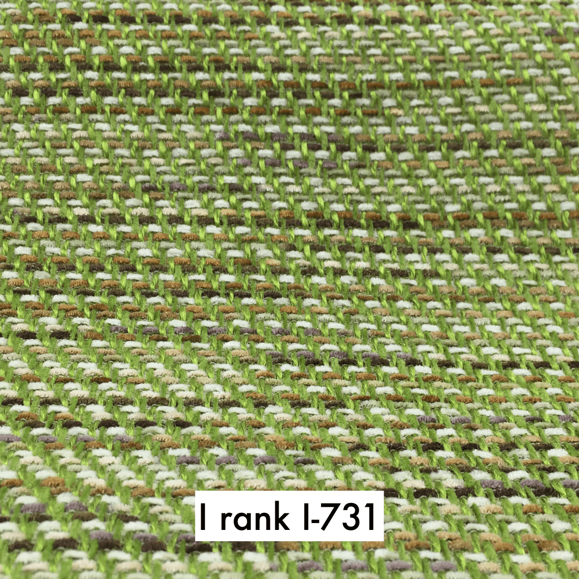 sample maruichi I rank 731