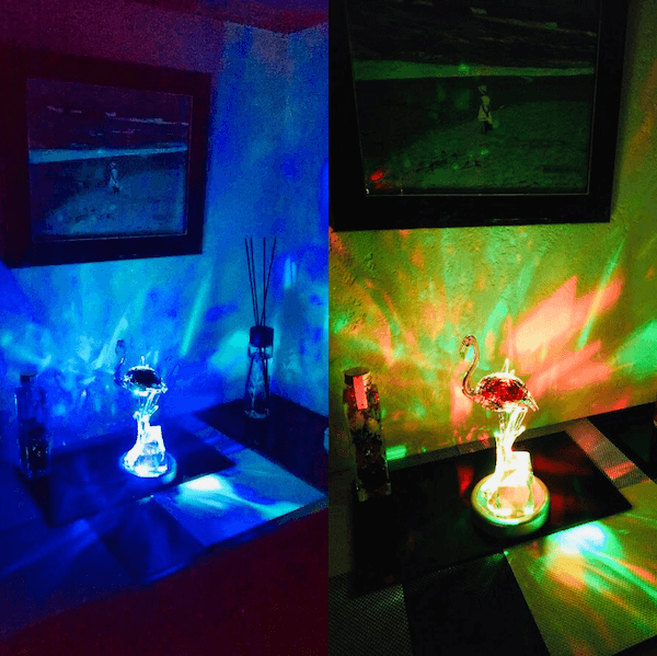 ウォールナットとブラックでラグジュアリーな空間づくり