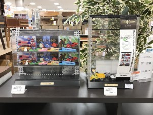 コレクションケース