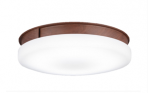 シーリングファンライト