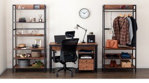 ビスカーナシリーズ