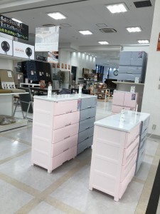 フィッツプラスカラー