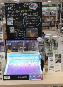 ルルドEMSシート